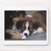 Super Niedlicher Australian Shepherd Puppy Mousepad (Vorne)
