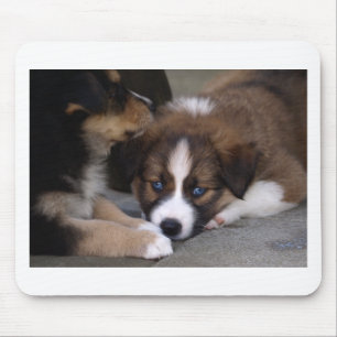 Super Niedlicher Australian Shepherd Puppy Mousepad