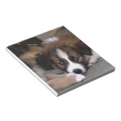 Super Niedlicher Australian Shepherd Puppy Notizblock (angewinkelt)