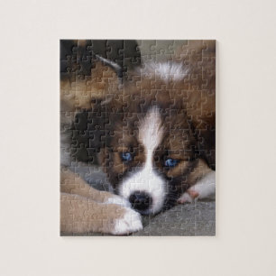 Super Niedlicher Australian Shepherd Puppy Puzzle
