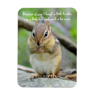 Super Niedlicher Chipmunk-Freundschaftsangebot Magnet