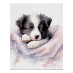 Super niedlicher Engel schlafend Welpe Border Coll Poster