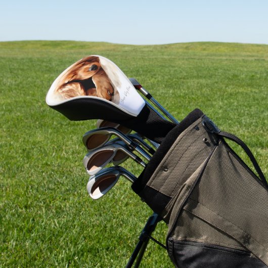 Super niedlicher Engel schlafend Welpe Cocker Span Golf Headcover (In SItu)