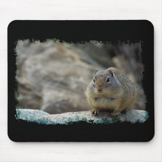 Super Niedlicher Ground Eichhörnchen Schwarze Gren Mousepad (Vorne)