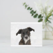 Super Niedlicher Hund im Schnee. Postkarte (Stehend Vorderseite)