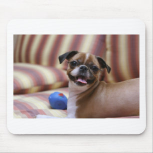 Super Niedlicher Hund mit ihrem Lieblingsball Mousepad