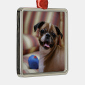 Super Niedlicher Hund mit ihrem Lieblingsball Silbernes Ornament (Rechts)