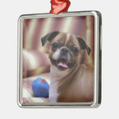 Super Niedlicher Hund mit ihrem Lieblingsball Silbernes Ornament (Links)