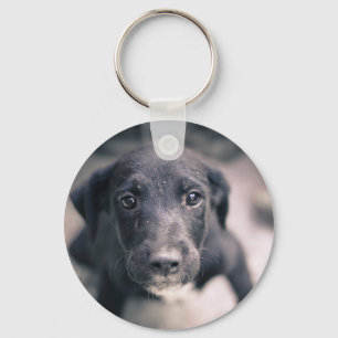 Super Niedlicher Welpenhund Schlüsselanhänger