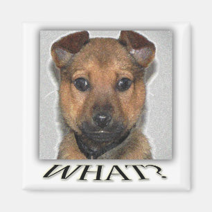 Super niedlicher Welpenmagnet Magnet