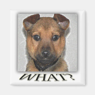 Super niedlicher Welpenmagnet Magnet