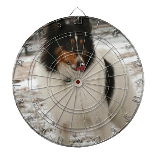 Super-Notunterkunft Dartscheibe (vorne)