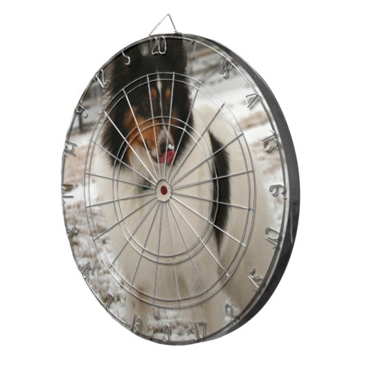 Super-Notunterkunft Dartscheibe (Vorderseite rechts)