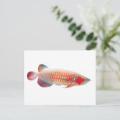 Super Red Arowana Postkarte (Stehend Vorderseite)
