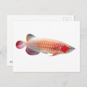 Super Red Arowana Postkarte (Vorne/Hinten)