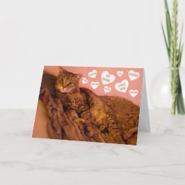 Super Romantische Katze Funny Valentine's Day Feiertagskarte