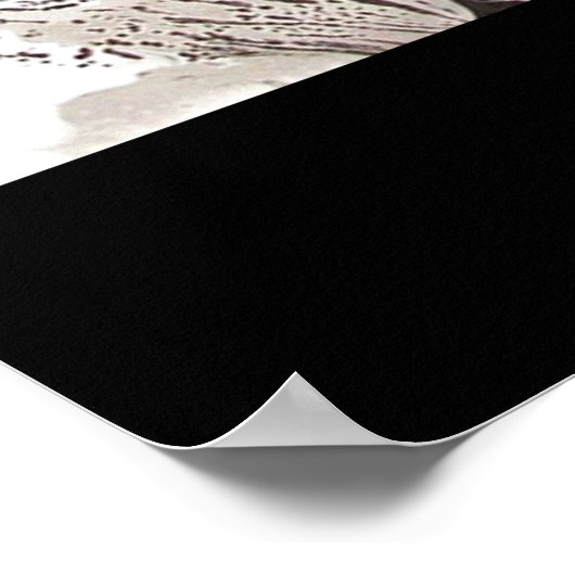 SUPER SILVER HAZE POSTER (Ecke)