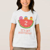 Super Simple | Noodle & Pals Watermelon Party Tri-Blend Shirt (Vorderseite)