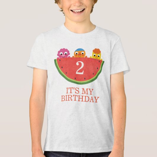 Super Simple | Noodle & Pals Watermelon Party Tri-Blend Shirt (Vorderseite)