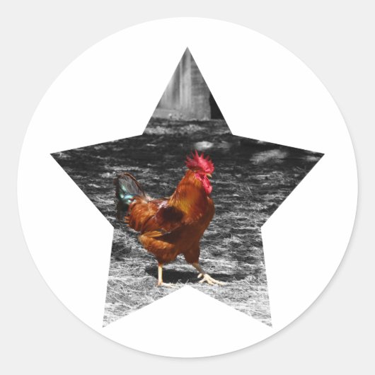 Super Star Chicken Runder Aufkleber (Vorderseite)
