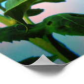 Super Sunflower Poster (Ecke)