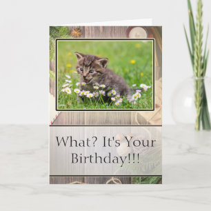 Super Suprised Happy Birthday Kitten Foto Card Karte