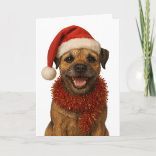 Super süße Border Terrier Weihnachtskarte Karte