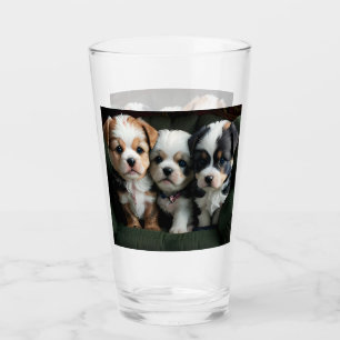 Super süße Welpen auf der Couch 2 Glas