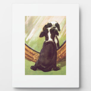 Super süßer Vintage-Baby Boston Terrier Fotoplatte