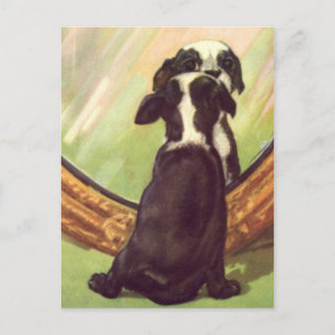 Super süßer Vintage-Baby Boston Terrier Postkarte