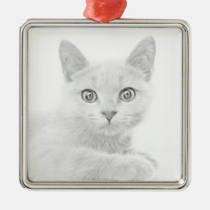 SUPER SÜßES Kätzchen Katzenporträt Silbernes Ornament