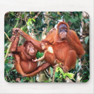 Super Sweet Orangutans mit Baby Mouse Pad Mousepad