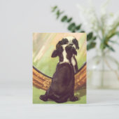Super Sweet Vintag Baby Boston Terrier Postkarte (Stehend Vorderseite)