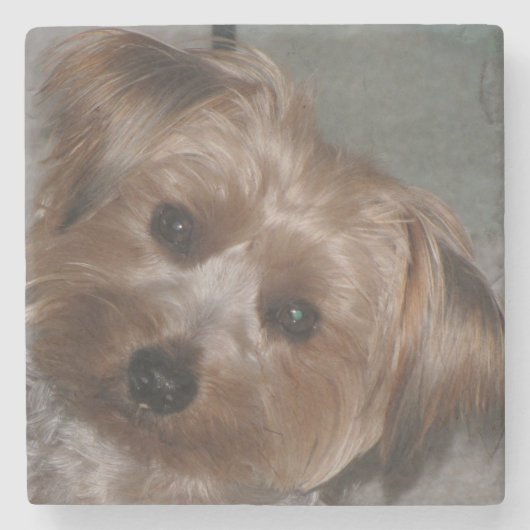Super Sweet Yorkie Stone Untersetzer (Vorderseite)