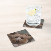 Super Sweet Yorkie Untersetzer Set (Vor Ort)