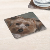 Super Sweet Yorkie Untersetzer Set (angewinkelt)