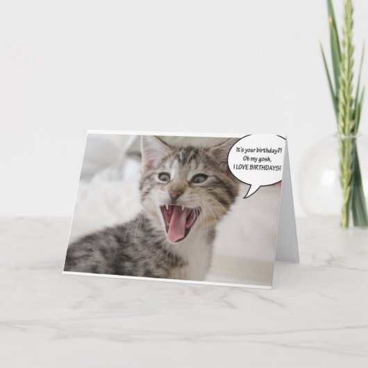 Super überrascht Geburtstag Kitten! Karte (Vorderseite)