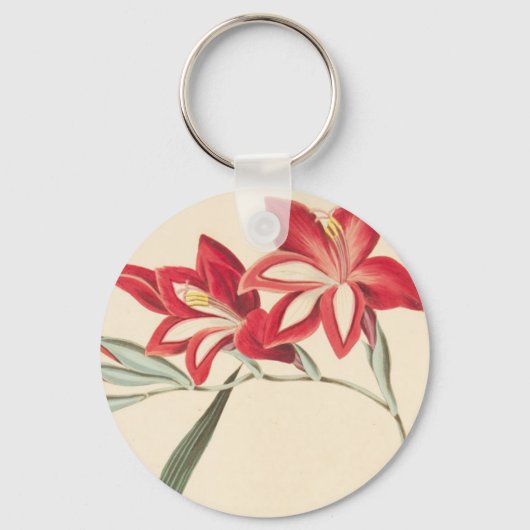 Superb Corn-Flag Schlüsselanhänger (Vorderseite)