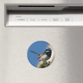 Superb Fairy wren Magnet (In Situ (Geschirrspüler))