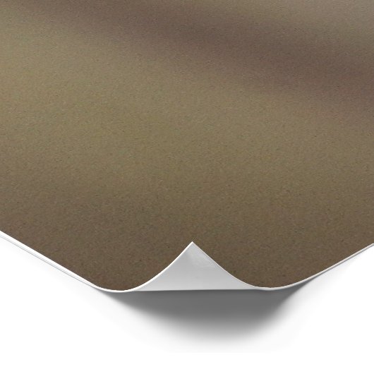 Superb Fairy-wren Poster (Ecke)