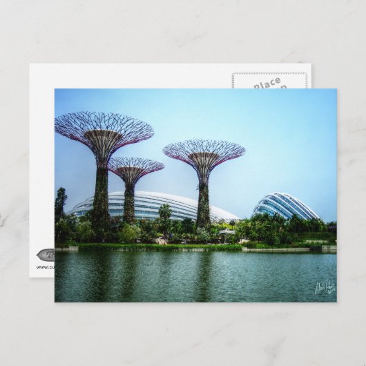 Superbäume, Gewächshaus und Libellensee Postkarte (Vorne/Hinten)