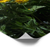 Superbloom Poster (Ecke)