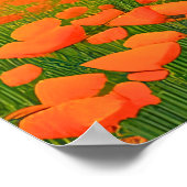 Superblumen | Surreal Poppies Landschaft Poster (Ecke)