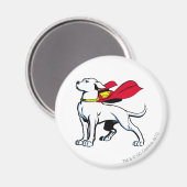 Superdog Krypto Magnet (Vorderseite/Rückseite)