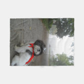 SuperFleecehaustier-Welpendecke Shih Tzu Fleecedecke (Vorderseite (Horizontal))