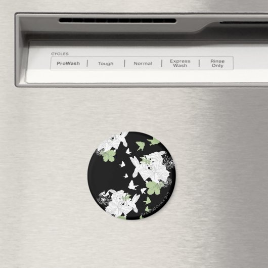 Supergirl Birds and Feathers Magnet (In Situ (Geschirrspüler))