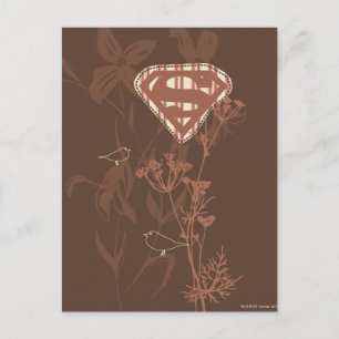 Supergirl Brown Bird Postkarte