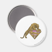 Supergirl Golden Cat Magnet (Vorderseite/Rückseite)