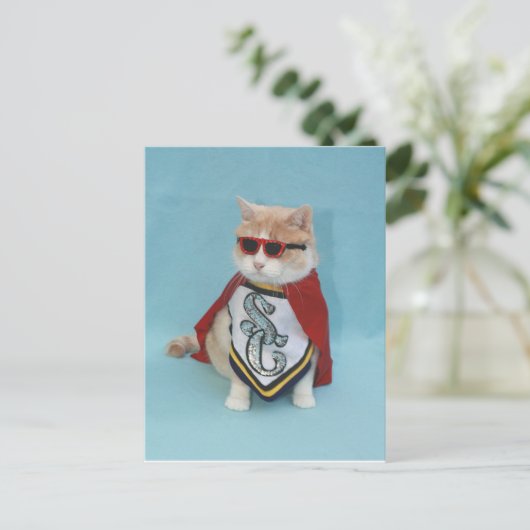 Superhero Bubba Postkarte (Stehend Vorderseite)