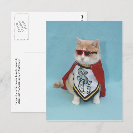 Superhero Bubba Postkarte (Vorne/Hinten)